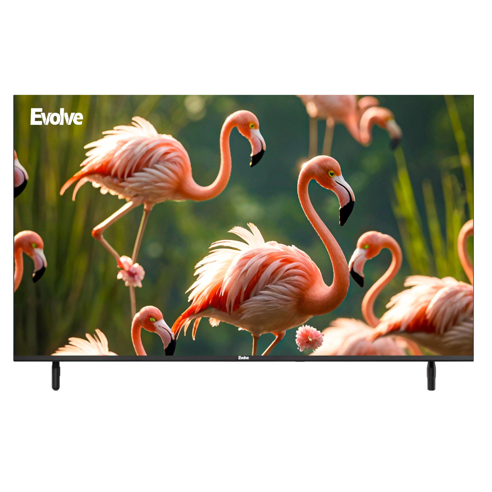 تلفزيون إيفولف 43 بوصة FHD LED بدون إطار - VLD43NA تلفزيون إيفولف 43 بوصة FHD LED بدون إطار - VLD43NA
